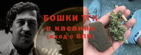 дживик Краснослободск