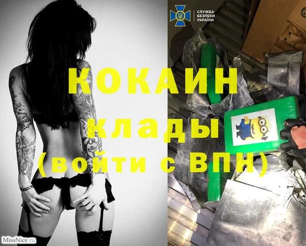 дживик Краснослободск