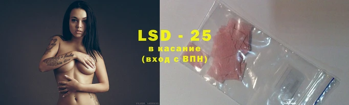 дживик Краснослободск