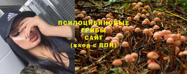 ECSTASY Красноперекопск