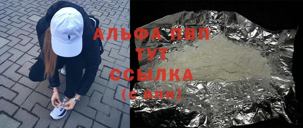 дживик Краснослободск
