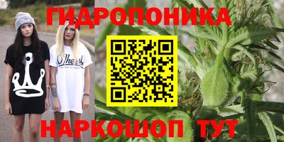 гидропоника Бийск