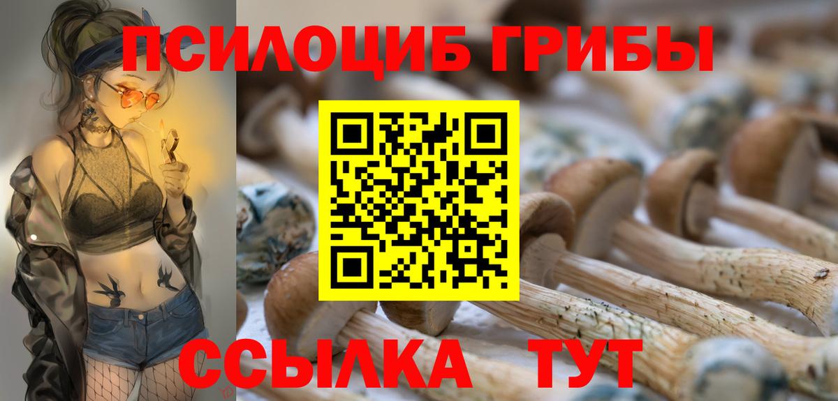 Псилоцибиновые грибы мухоморы Стерлитамак